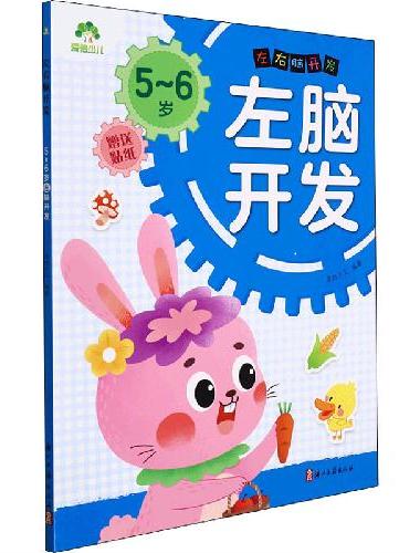 爱德少儿：左右脑开发·5~6岁左脑开发