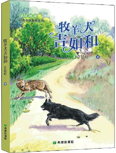 牧羊犬吉如和
