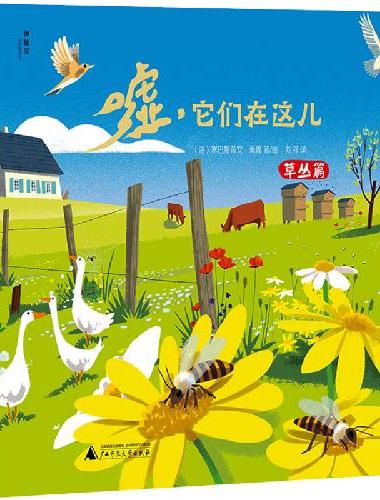 嘘，它们在这儿（全4册）