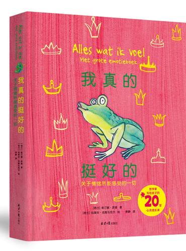 我真的挺好的：关于情绪所能感受的一切