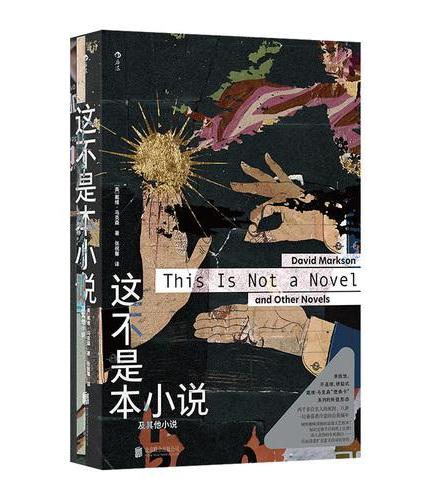 这不是本小说 及其他小说  美国实验文学的异中之异