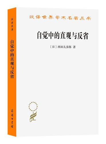 自觉中的直观与反省（汉译名著23辑）
