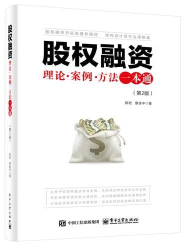 股权融资：理论?案例?方法一本通（第2版）