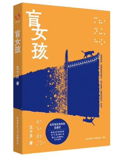 盲女孩 小说 鲁迅文学奖获得者王十月全新小说，爱让人在黑暗里长出血肉