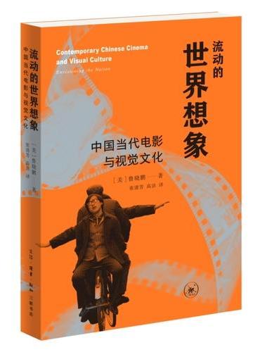 流动的世界想象：中国当代电影与视觉文化