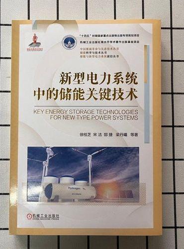 新型电力系统中的储能关键技术  徐桂芝 宋洁 郜捷 梁丹曦 等