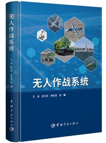 无人作战系统 