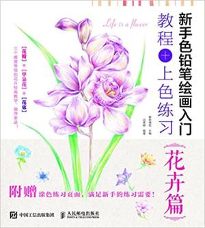 新手色铅笔绘画入门 教程+上色练习 花卉篇