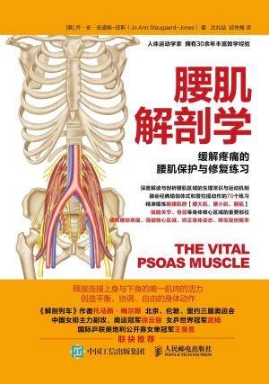 腰肌解剖学 缓解疼痛的腰肌保护与修复练习