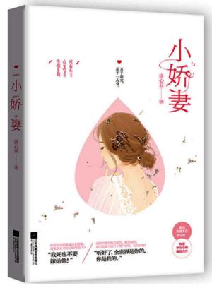 小娇妻