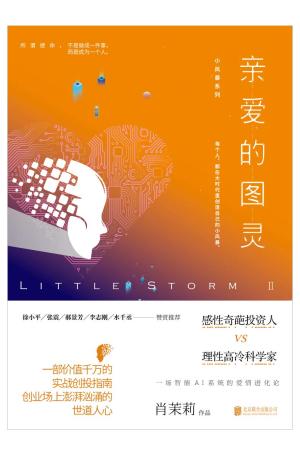 小风暴Ⅱ：亲爱的图灵