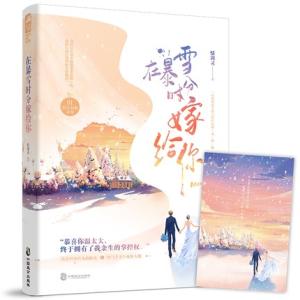 在暴雪时分嫁给你