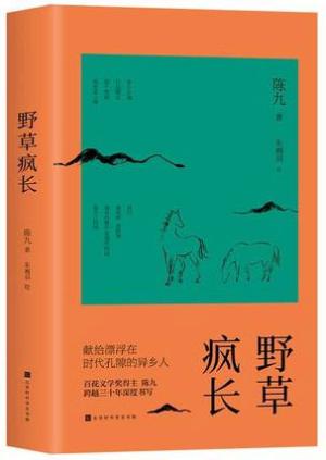 野草疯长（我们是尘埃，是野草，是岁月微不足道的痕迹，是自己的神）