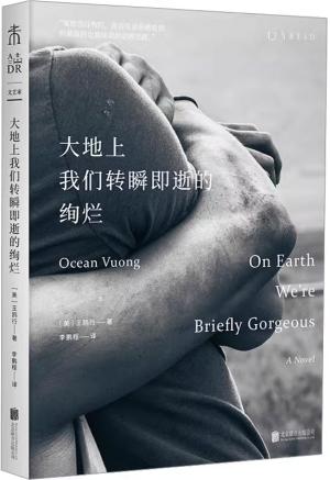 大地上我们转瞬即逝的绚烂