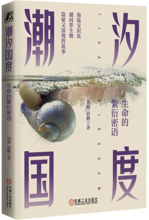 潮汐国度：生命的繁衍密语
