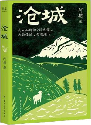 沧城