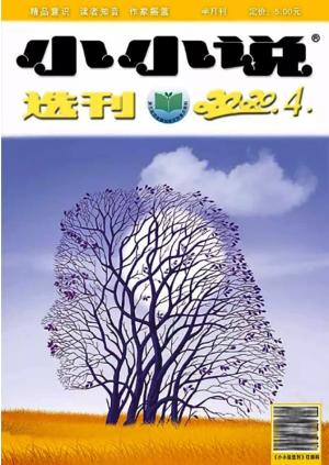 小小说选刊（一年订阅，月刊，12期） 