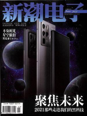 新潮电子（一年订阅，月刊，12期）