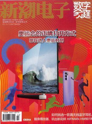 新潮电子 数字家庭（一年订阅，月刊，12期）