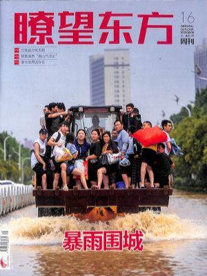 瞭望东方周刊（一年订阅，半月刊，26期）